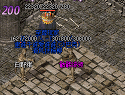 <strong>新开复古传奇：老玩家实测稳定长久不跑路服</strong>